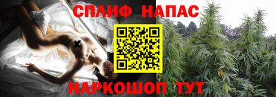 МДПВ Моздок