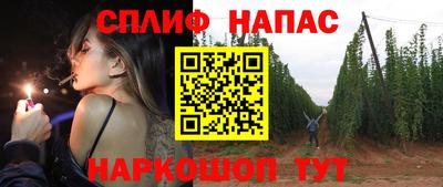 МДПВ Моздок