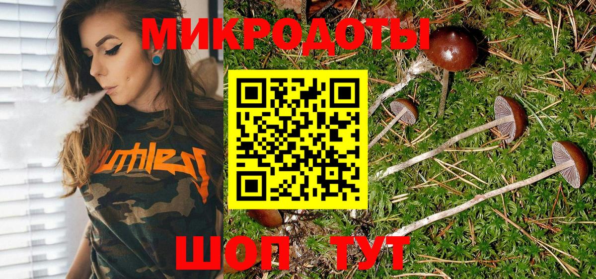 Галлюциногенные грибы ЛСД  Вход с VPN  Галлюциногенные грибы мицелий  цены наркотик  Арзамас 